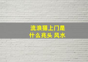 流浪猫上门是什么兆头 风水